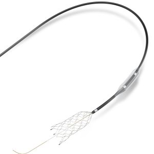 CREDO® Stent