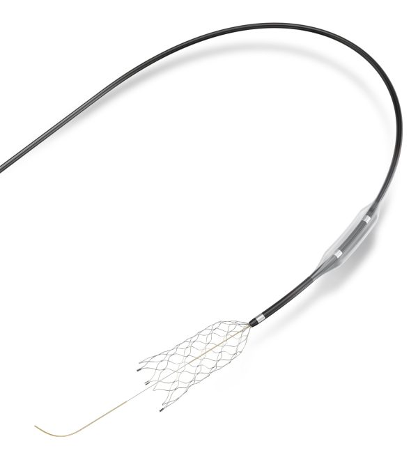 CREDO® Stent