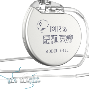 Vagus Nerve Stimulation (VNS) System