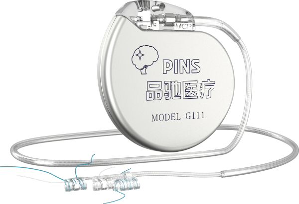 Vagus Nerve Stimulation (VNS) System