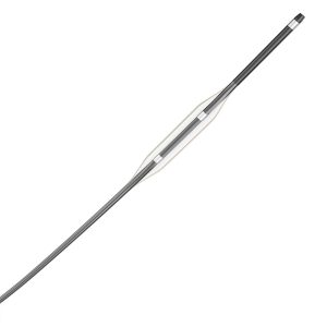 NeuroSpeed® PTA Balloon Catheter